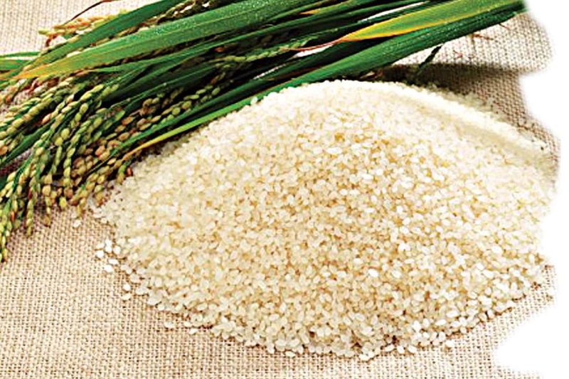 Rice-grain-1
